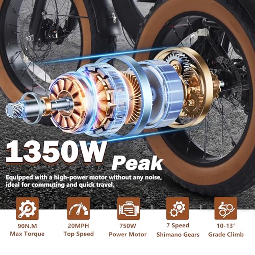 Electric Tricycle for Adult Folding etrike Adult Electric 3