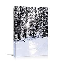 Canvas Wall Art Expressive Landscape Chic Dramatic Duotone Hallway Landscape Mountain Photography - 12x18 inches