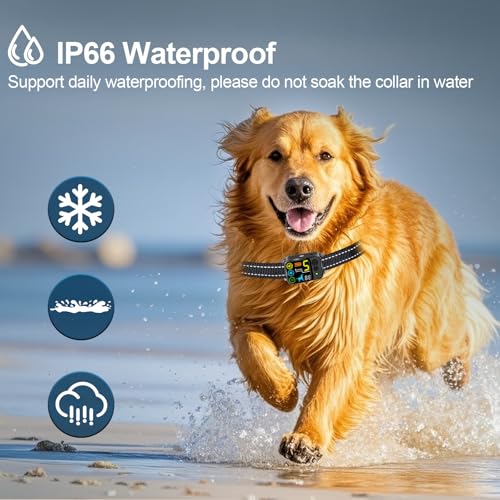 Using Citronella Collar for Training