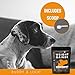 Buddy & Lola Weight Gainer for Dogs (90 Servings) Healthy Weight Gainer Supplement for Dogs. Muscle Builder, Injury Recovery, Energy & Performance Supplement for All Breeds. Made in The USA