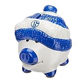  FC Schalke 24508 Sparschwein