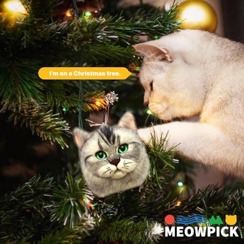 Image of MeowPick Needle Felting Kit with Cat Head Mold, Animals Needle Felting Set, DIY Wool Felt Materials Set with Felting Tool and Instruction for Quick Needle Felting Craft (Devon Rex)
