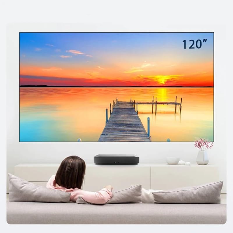 Pantalla de proyección fija GenSDH 100 pulgadas miniatura 5