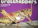 Grasshoppers [Scholastic] (Bugs, Bugs, Bugs!)