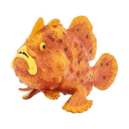 Amazon Safari サファリ カエルアンコウ 魚 フィギュア フィギュア ドール 通販