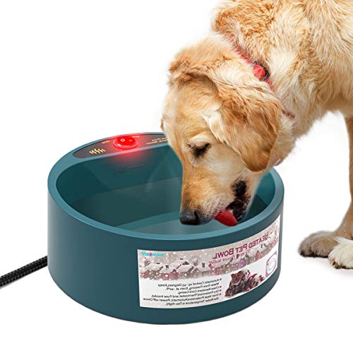 Newest And Best Heated Dog Water Buckets