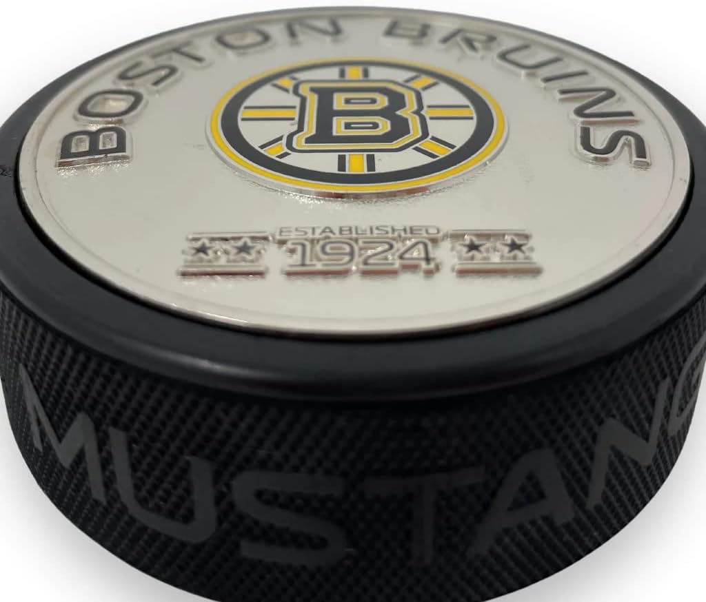 Sports Decor Medallion Puck - Boston Bruins Silver Established