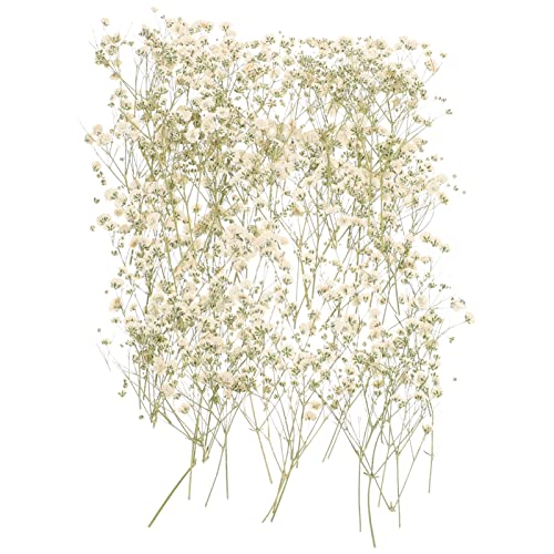 Ramo de flores secas para decoración del hogar miniatura 1