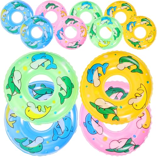 Abaodam ~jjpO 20Zbg ֌^~j`A ȐjpO oX^uVтƃ~jnEX̏