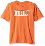 O'Neill Boys' Block T Shirt