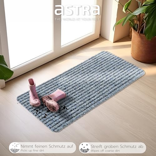 Astra Fußmatte innen Silber Schmutzfangmatte rutschfest – Türmatte 25x60 cm wasserabweisend – Rib Line strapazierfähiger Fußabtreter antistatisch