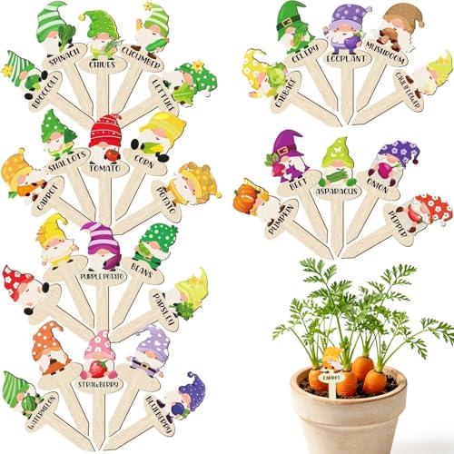Ne confondez plus vos semis avec les étiquettes en bois colorées pour plantes de jardin