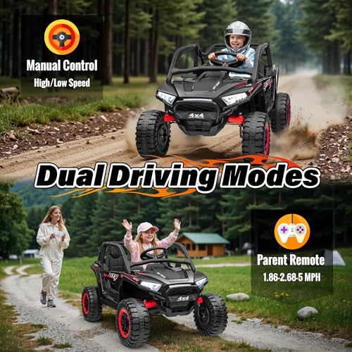 ANRLI 24V 4x2000W Off-Road UTV