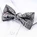 Alizeal Boys Adjustable Fashion Paisley Floral Strapped Pre-tied Kids Bow Tie, Gray
