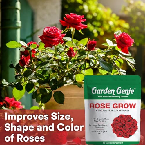 Image of Garden Genie Rose Grow 400 Gm | Organic Plant Food Fertilizer for Rose Fertilizer for Plant | Essential Nutrients, Promotes Vibrant Blooms