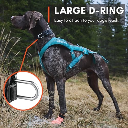 Non-stop dogwear Rock Collar Adjustable |3446| Verstellbares Funktionshalsband, Größe:M
