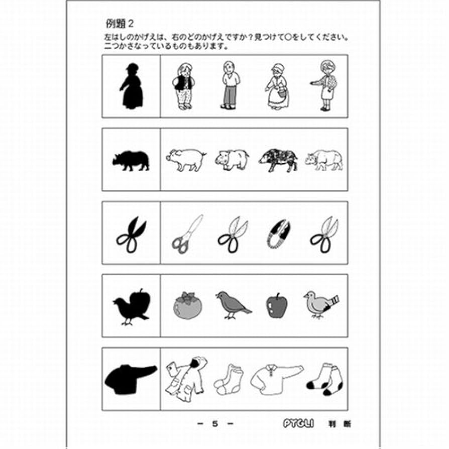 能力育成問題集05 判断(ピグマリオン|PYGLIシリーズ|小学校入試