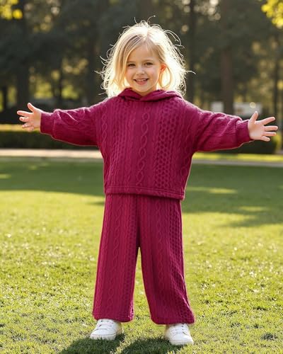 Image of fioukiay Toddler Girls Casual Sweatsuit Pullover Hoodie Sweatpants Outfits