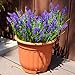 20 Bundles Artificial Plants Outdoor, UV Resistant Fake Flowers， Realistic Faux Lavender Shrubs for Porch Garden Window Box Home Decoration (Purple)