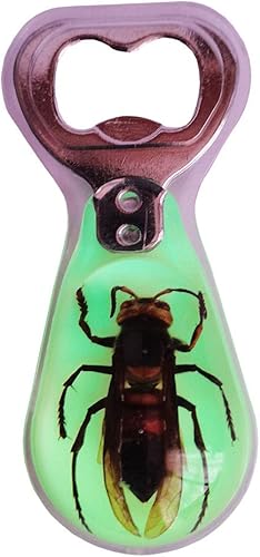 Miniatura 6 de Especímenes de insectos escorpión negro real, abridor de botellas de vino de cerveza, colección de taxidermia de animales, manualidades de abridor
