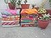 Lavish Indian Art Indian Tribal Kantha Quilts Vintage Cotton Bed Cover Throw Old Sari Made Assorted Patches Made Rally Whole Sale Blanket (55X85 Inches) Twin Size, Multicolor, KQ-001a