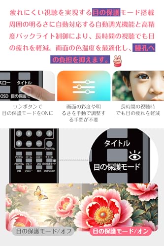 AESTIQUO ポータブルDVDプレーヤー 12.5型 PD101 の商品画像 2
