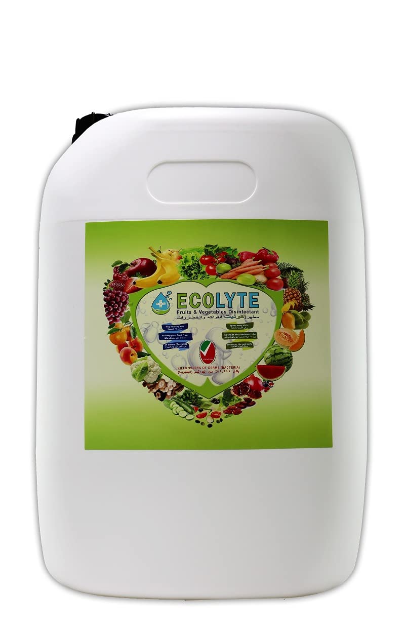 Buy Ecolyte Disinfectant Spray and Food Spray and Food Sanitizer 20