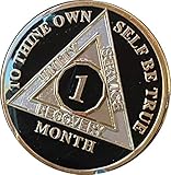 Ranger Industries 1 Month AA Medallion Glossy Classic Black 30 Day Sobriety Chip