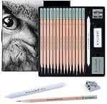Kalour 18-Piece Professional Sketch Pencil Set - Includes 5H to 12B Pencils, Vinyl Eraser, Kneaded Eraser,Sharpener and Paper Blending Stump - Ideal for Artists and Beginners
