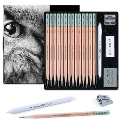 KALOUR Juego de 18 lápices de dibujo profesional, incluye lápices 5H a 12B, borrador de vinilo, borrador amasado, sacapuntas y tocón de mezcla de papel, ideal para artistas y principiantes | Ya disponible en tu tienda friki favorita! En mundofriki.es!