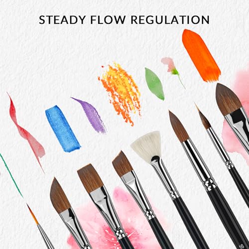 Image of Watercolor Brush Professional, 11Pcs Water Color Paint Brushes Set for Artists, Shapes with Fan, Needle Pointed, Angular, Dagger, Cats Tongue for Watercolor, Gouache, Ink Painting
