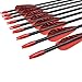 Fiberglass Arrows Archery 26 Inch Target Shooting Practice Safetyglass with Red Spots Vanes for Recurve Bows Suitable for Youth Children Woman Beginner 12 PCS