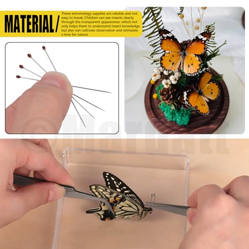 Image of Mardatt 15Pcs Making Insect Specimen Tools Kit, Insect Pinning Kit with Insect Pinning Block, Insect Pinning Board, Insect Pins, Wings Pressing Paper, Insect Display Case, Tweezers, Scissors