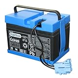 Bateria para Mini Carros Elétricos e Quadriciclos Elétricos Peg-Pérego - 12V/12AH - Preto/Azul Burigotto (Azul/Preta)