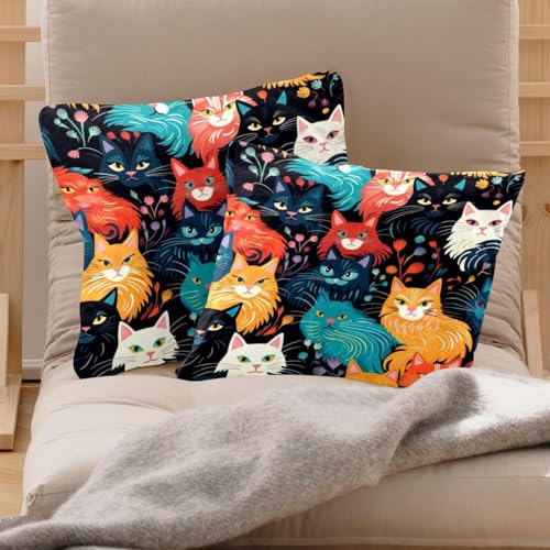 Housse de coussin chat lavable en velours pour canapé et lit - 3