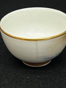 Amazon.co.jp: 九谷焼き煎茶セット九谷 急須 湯冷し お猪口 陶器