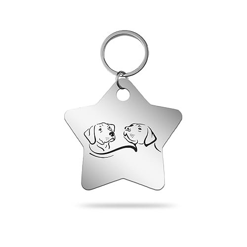 MACOS Engraved Personalised Star Pet Tag for Dogs and Cats [Chrome]