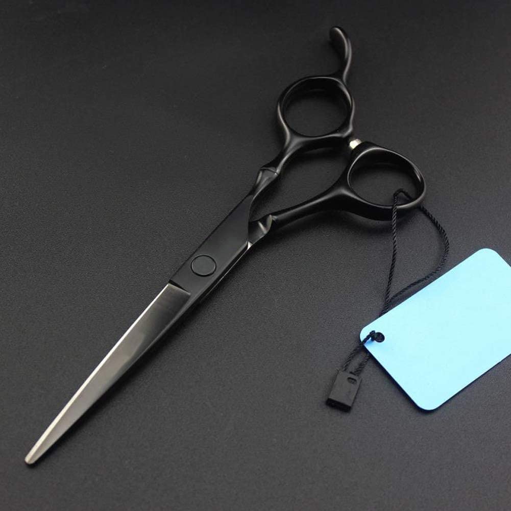 Forbici da parrucchiere professionali Forbici da taglio per capelli Cesoie per parrucchiere Vite di tensione di regolazione del salone di barbiere 100% acciaio inossidabile da 6 pollici