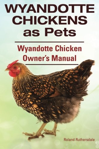 Wyandotte Chickens as Pets. Wyandotte Chicken Owne