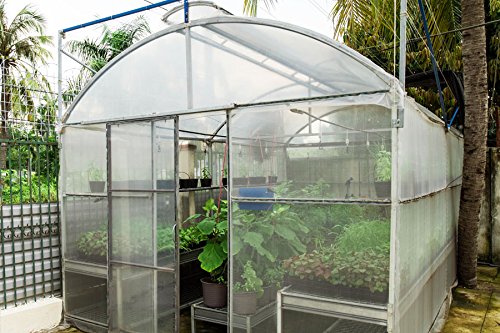 Greenhouse Plastic Film Clear Polyethylene 6 Mil 4 Year Uv Resistant Cover (8 Ft Wide X 25 Ft Long) #TOP1