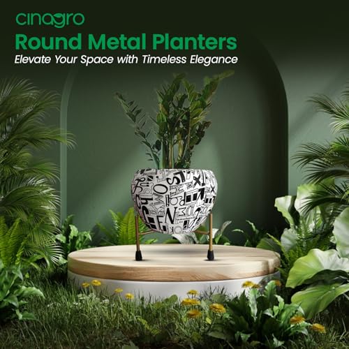 Image of CINAGRO Metal Flower Vase Planter Pot with Iron Stand, Pots for Plants, Plant Pots for Home Decoration, Succulent Pot, Indoor Planter Balcony Garden Decor (Size: 6X6 inch) Style: Alphabet Sphere