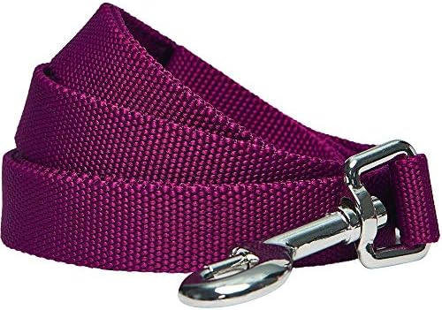 Amazon Brand - Umi Durable Classic Solid Color Dog Lead 150 cm x 2cm in Red, Medium, Basic Leads for Dogs