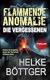 Cover zum Buch Flammende Anomalie: Die Vergessenen