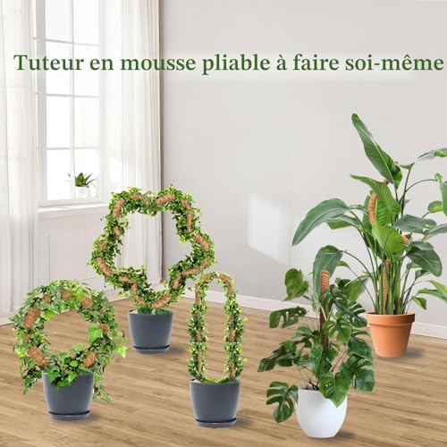 Tuteur Monstera 75 cm Lot de 2, Tuteur Plante en Fibre de Coco Naturelle, Support Solide pour Plantes Grimpantes d’Intérieur, Tuteur Coco Flexible pour Monstera, Pothos et Philodendron – vue 4