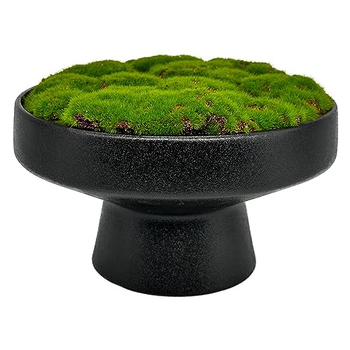 Macomine Design Moss Bowl | 8