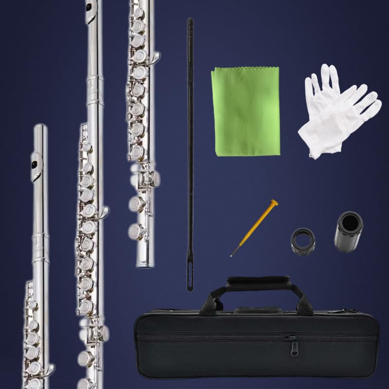 Image of flute 16-hole closed-hole C-tone nickel-plated, beginner to play graded flute, with box and cleaning kit.