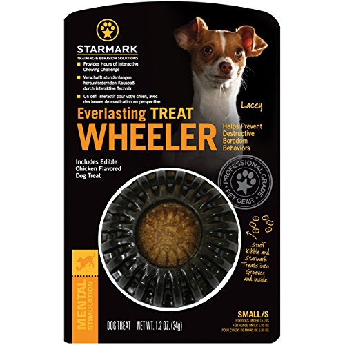 Starmark Eeuwige traktatie Wheeler hond speelgoed, klein