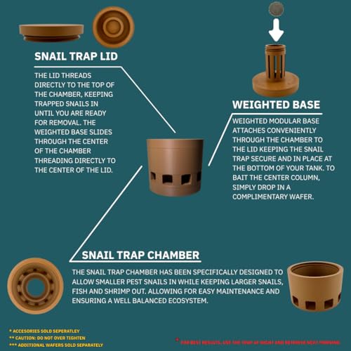 Image of Snail Trap - Reusable, Easy to use - Designed & Manufactured in USA - Fish & Shrimp Safe (Sand)