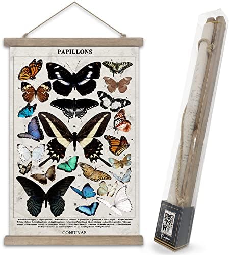 Condinas Vintage Butterfly Poster,Illustrative Poster,With Wood Frame Wall Art 16 x 24 inch, Ready to Hanging (Butterfly C)