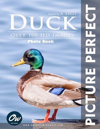 Duck: Picture Perfect Photobook (Picture Perfect Photo Book)
